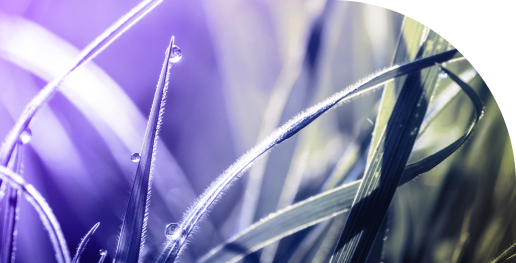 case-study-1_latham-pool_mother-and-baby-playing-in-the-pool_600x422